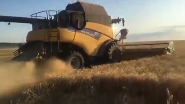 Посев сидератов - сеялка разбрасыватель LEHNER Vario смотреть онлайн