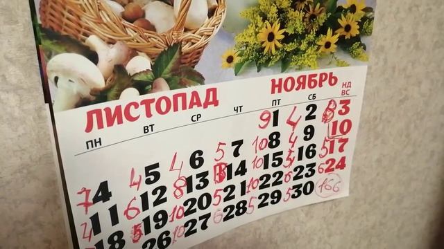 Не топчим на ночь и худеем ночью? смотреть онлайн