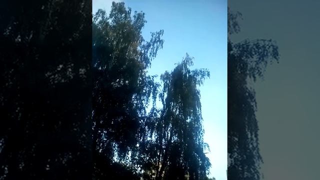 ЗАПУСК МЕХАНИЗМА САМОРЕГУЛЯЦИИ В ЦЕНТРАЛЬНОЙ НЕРВНОЙ СИСТЕМЕ.ПРАКТИКА смотреть онлайн