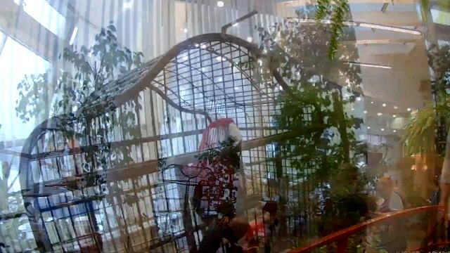 Зимний сад в театре Арлекин смотреть онлайн