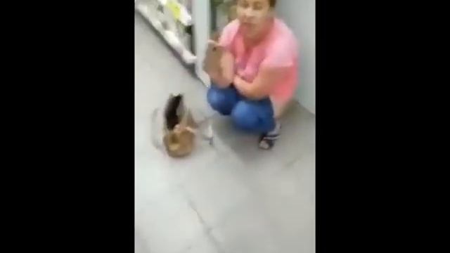 А зачем и почему люди какают смотреть онлайн