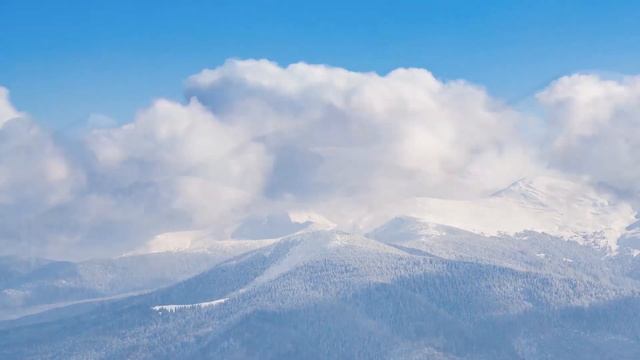 Это Безумно Красивая Мелодия, Затрагивающая Самые Сокровенные Уголки Души! Сергей Грищук! Зима! Сне