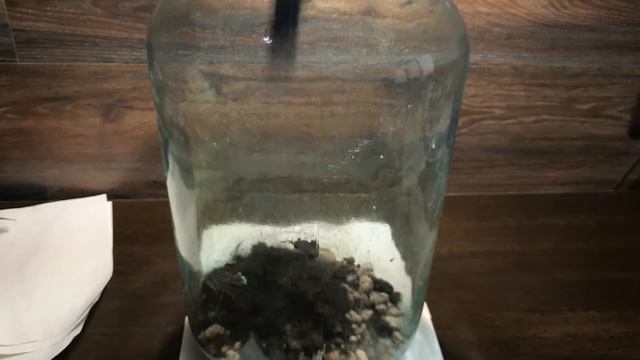 40 ЛЕТ БЕЗ СВЕТА, БЕЗ УДОБРЕНИЙ, БЕЗ ВОЗДУХА?? ПРОВЕРИМ! смотреть онлайн