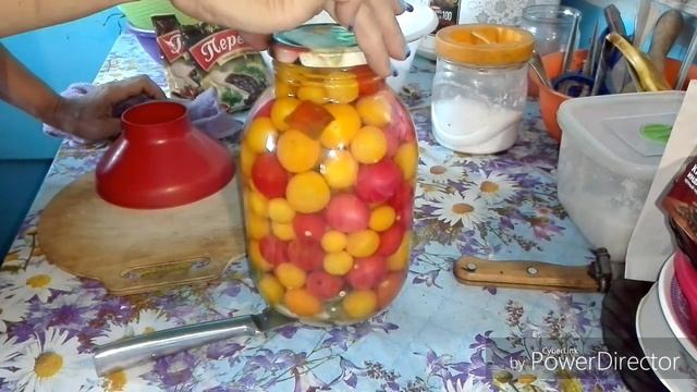 ЛУЧШИЙ РЕЦЕПТ ОБАЛДЕННЫХ ПОМИДОРОВ НА ЗИМУ !!! РАССОЛ СУПЕР !!! смотреть онлайн