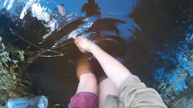 КАК ПОЙМАТЬ ПИЯВКУ САМЫЙ ЛУЧШИЙ СПОСОБ ЛОВЛИ ПИЯВКИ