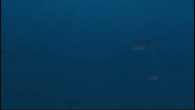 Подводные Монстры!!! МАЗОЗАВР. Чудовище из Глубин. Морские Монстры.