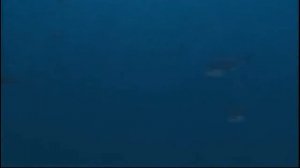 Подводные Монстры!!! МАЗОЗАВР. Чудовище из Глубин. Морские Монстры.