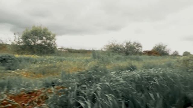 DESCUBRIMOS AL ATERRADOR THOMAS.EXE EL TREN смотреть онлайн