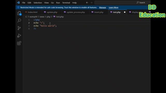 How to print any message in PHP using echo by DD Education смотреть онлайн