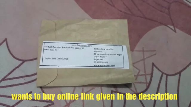 Buy Adenium Seeds Online From Seedsnpots || Seeds Unboxing