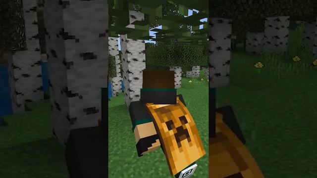 ФИЗИКА У ПЛАЩЕЙ в Майнкрафт на телефон смотреть онлайн