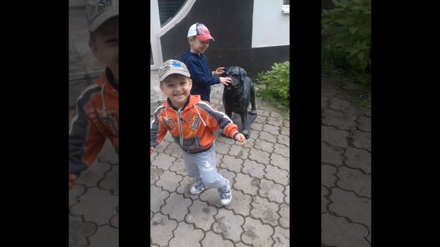 День рождения Тимура смотреть онлайн