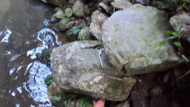 3 Days Eating Only What I Catch in Hawaii (Chicken Edition) смотреть онлайн