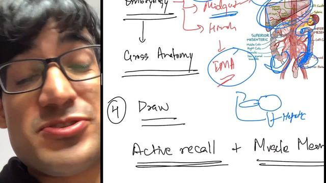 How To Study Anatomy In Medical School (MBBS) | The VisuoSpatial Method смотреть онлайн