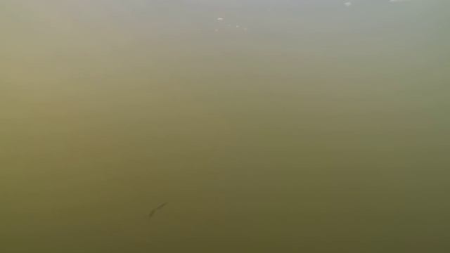 Игра приманки бокоплав 15гр смотреть онлайн