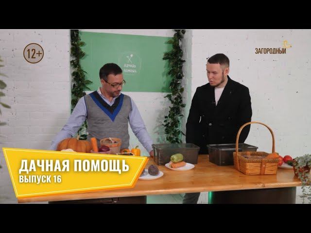 Дачная помощь // Выпуск 16 смотреть онлайн