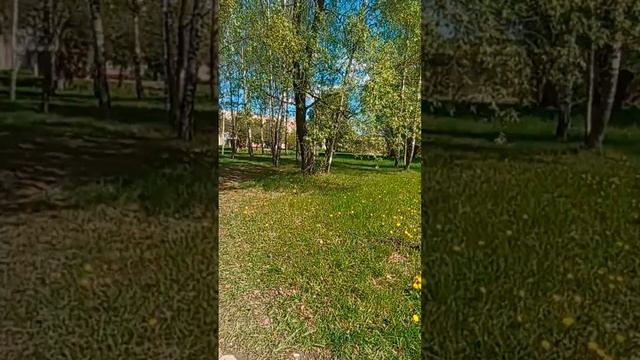 Кусочки из моей жизни 🦋🌿🍣*роллы*весна.🌷 смотреть онлайн