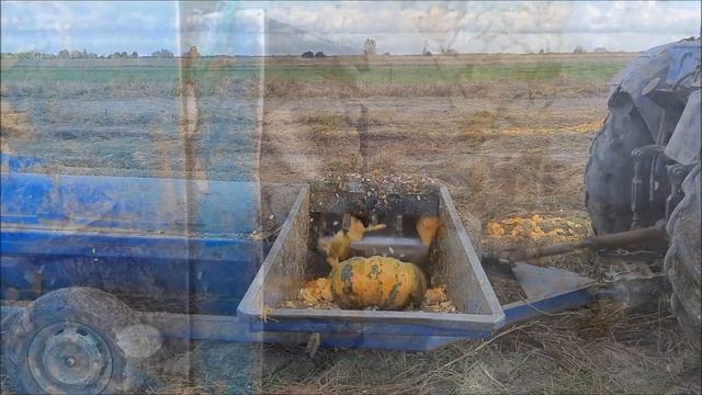 Производителей-обманщиков из Днепропетровской области разыскивают Волынские фермеры I "ДАНКА-ПОЛЬКА смотреть онлайн