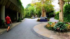 1 день в Сингапуре!!! В шоке от города и цен!!! | Цены в Сингапуре | Достопримечательности Сингапур