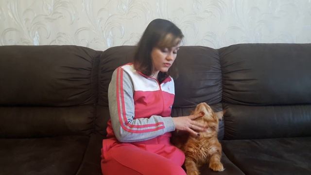 КАК ДАТЬ ТАБЛЕТКУ КОТУ. САМЫЙ ЛЕГКИЙ СПОСОБ