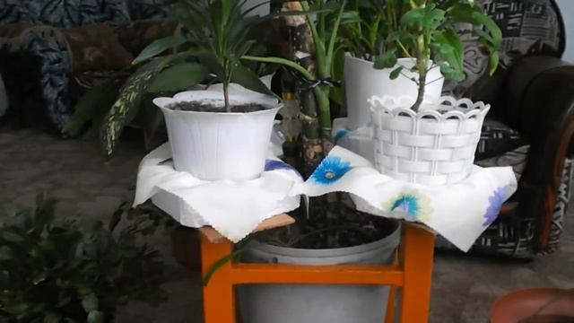 Подставка для цветов своими руками из табуретки смотреть онлайн