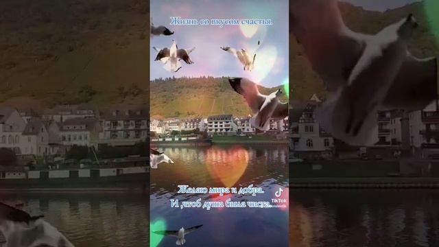 Природа. Красота. Мир. #природа #мир #красота #жизньсовкусомсчастья #любовь #душа #пожелания смотреть онлайн