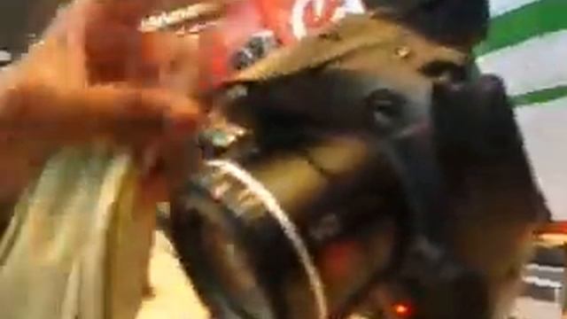 Canon SX30 Quick Video смотреть онлайн