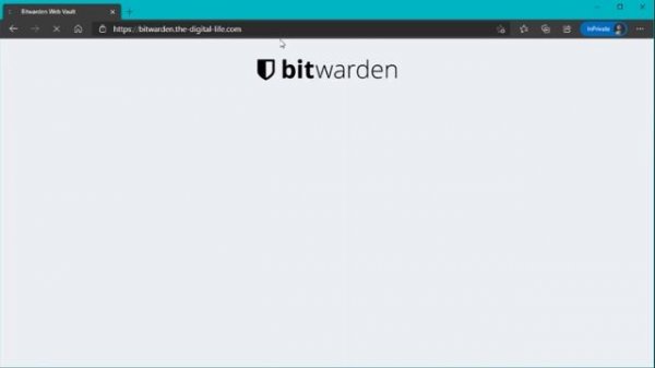 Nginx Proxy Manager - ACCESS LIST protection for internal services