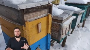 Зимовка без потерь. Пчеловоды не теряйте пчел зимой. В феврале солнце провоцируе