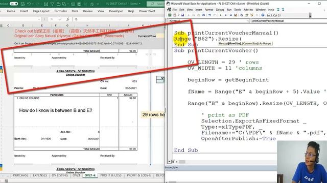 Excel vba print Voucher Part 1 of 5 What is Resize смотреть онлайн