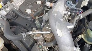 Toyota Land Cruiser Prado 3.0 НОМЕР ДВИГАТЕЛЯ И РАМЫ.