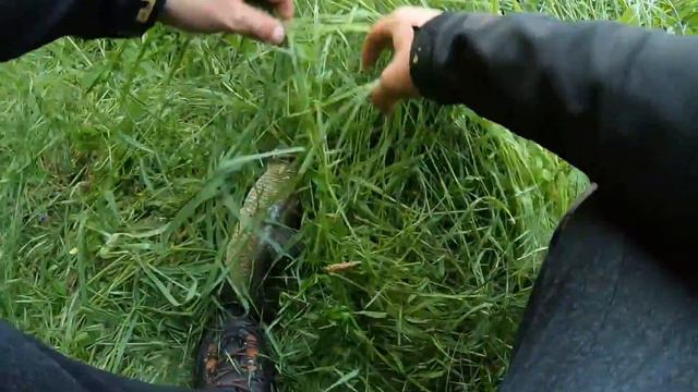 Три реки - В търсене на трофея - ЧАСТ 1 Спининг риболов на кефал смотреть онлайн