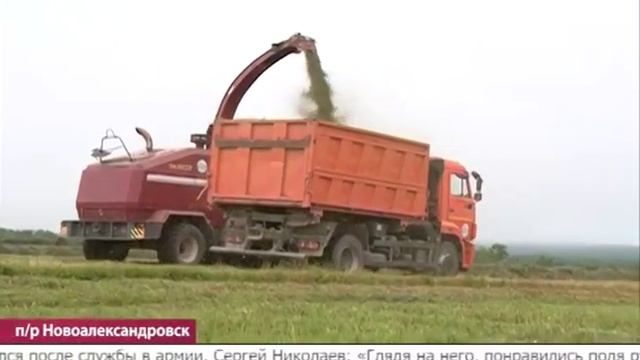 Сахалинские аграрии увеличивают объемы заготовки кормов для крупного рогатого скота