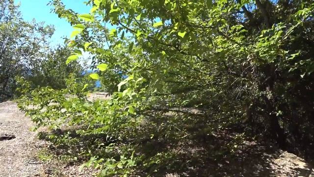 Новомихайловский 2020.Заброшенное здание на горе. смотреть онлайн