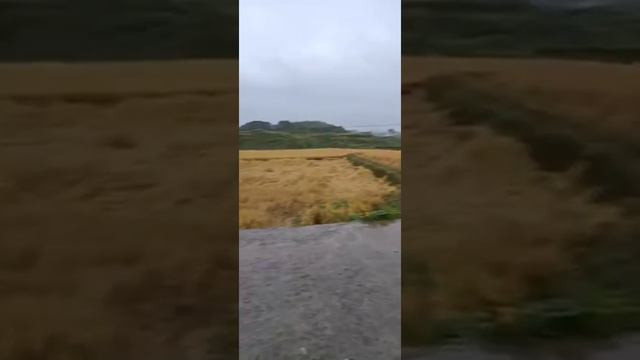 Сваебойная установка для барьерного дорожного | сваебойная машина смотреть онлайн