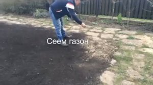 Как сеять газонную траву своими руками? Устройство посевного газона.