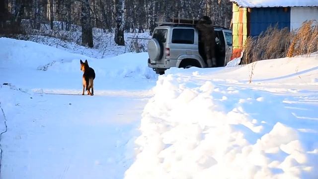 Родовой дом смотреть онлайн