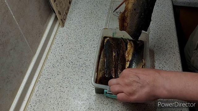 Вяленая селёдка! смотреть онлайн