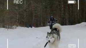 Российский мотовездеход «Тарусь 2x2» 2017