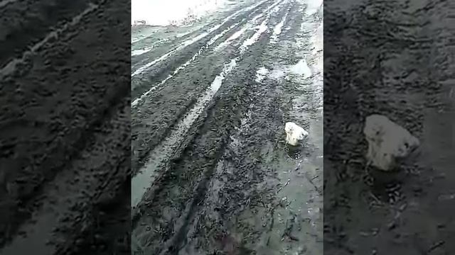 Дороги Орловской области смотреть онлайн