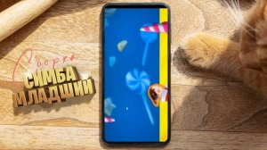 ЛУЧШИЕ ВИДЕО Симбочки Младшего!?