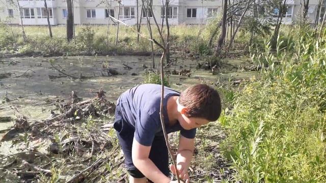 Андрей ван лав смотреть онлайн