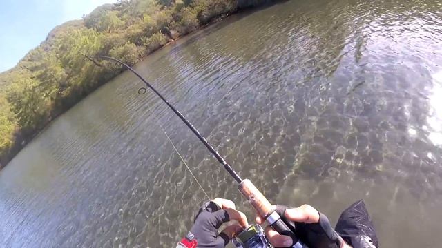 Light spinning. Tral avı (caranx crysos) HD смотреть онлайн