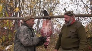 Разделка бобра ножом "Бобёр"