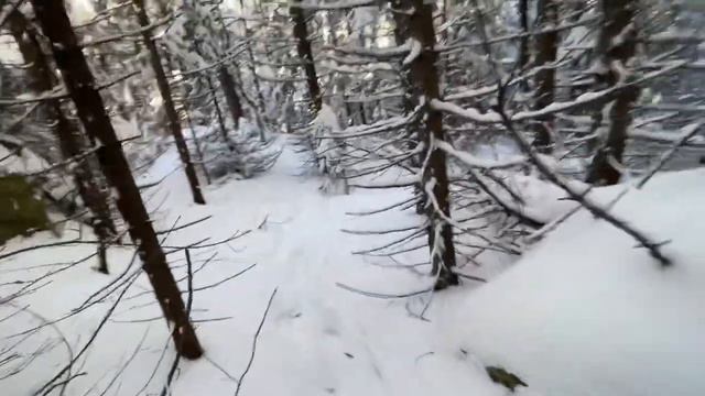 На Юрму. Попытка 1.