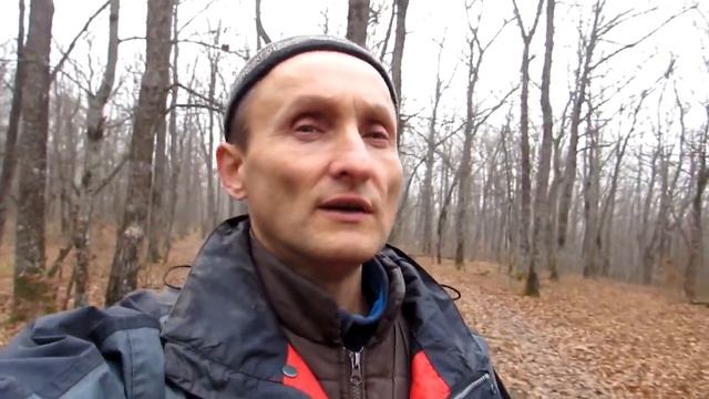 Развитие Воображения смотреть онлайн