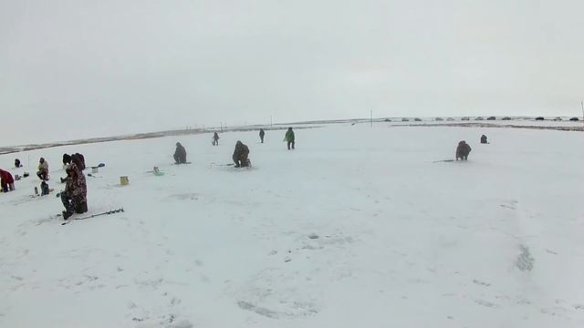 Зимняя рыбалка Никитинский пруд 16 марта 2019 год смотреть онлайн