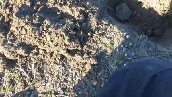 Открытие сезона! Металлоискатель FROGMAN B75