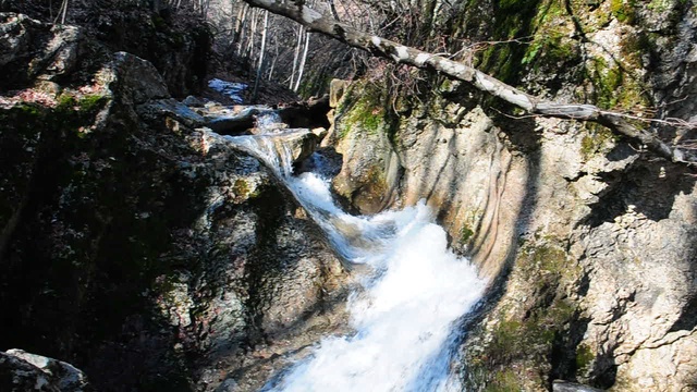 DSC_2217 смотреть онлайн