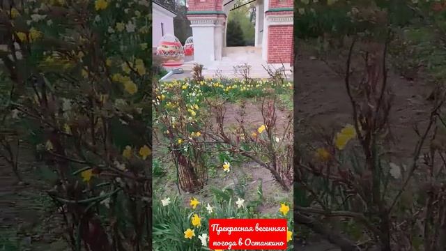 Прекрасная весенняя погода в Останкино, ВДНХ. Релакс, ресурс #happy #astro смотреть онлайн